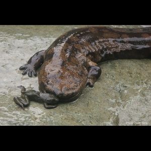 Meet your Posher, Hunter